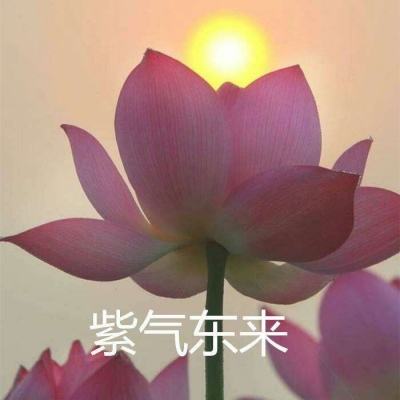 荣耀国度手游